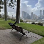 Bench with a City View, Kings Park Perth