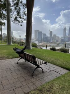 Bench with a City View, Kings Park Perth