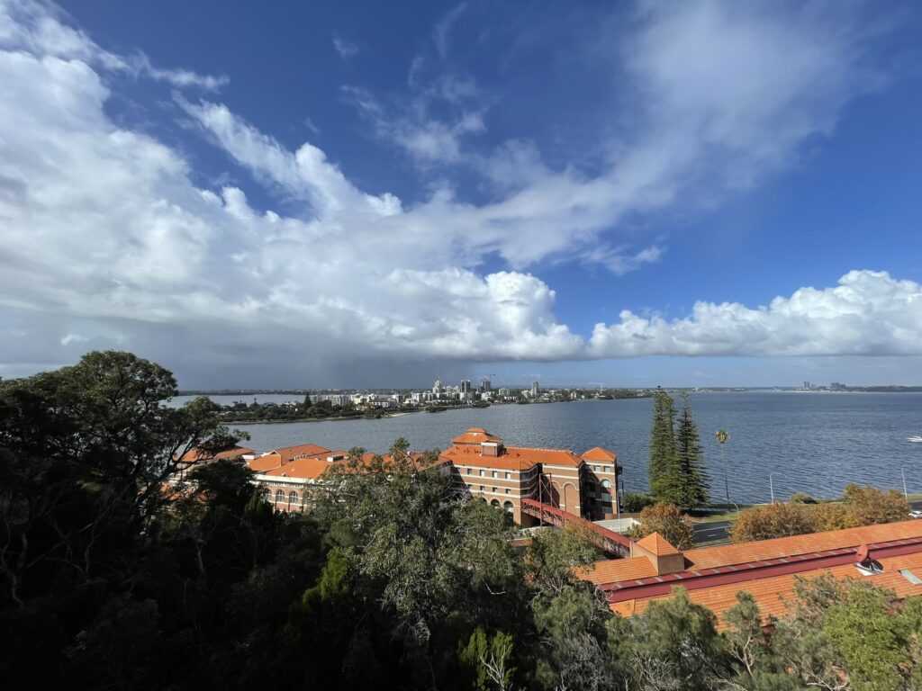 View of Perth City from Kings Park