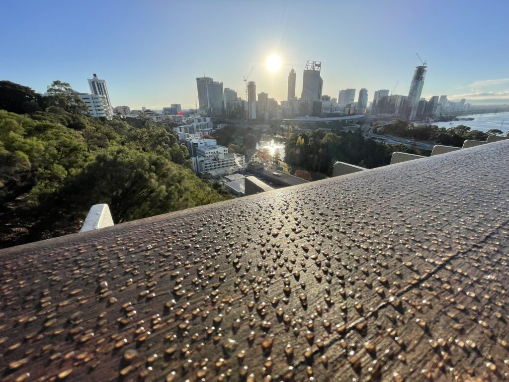 Dew and Dawn over Perth