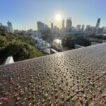 Dew and Dawn over Perth