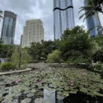 Lily Pond at Roma Street Parkland, Brisbane