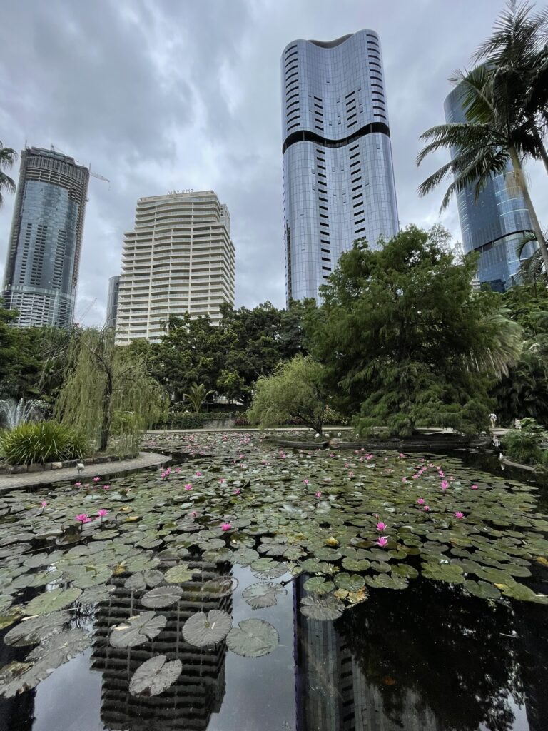 Lily Pond at Roma Street Parkland, Brisbane