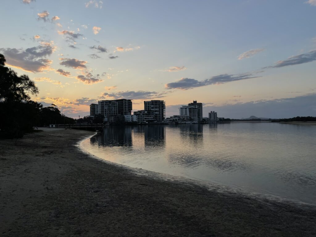 Cotton Tree at Dusk
