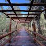 Wooden Bridge in Tranquil Bushland, Perth