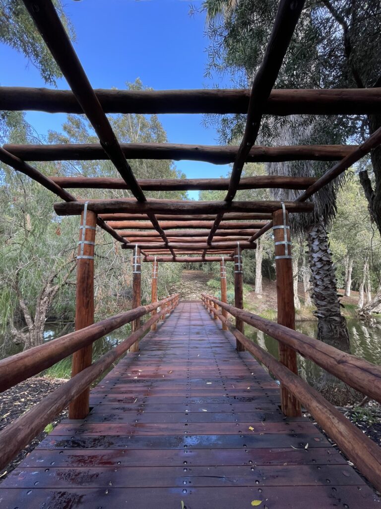 Wooden Bridge in Tranquil Bushland, Perth