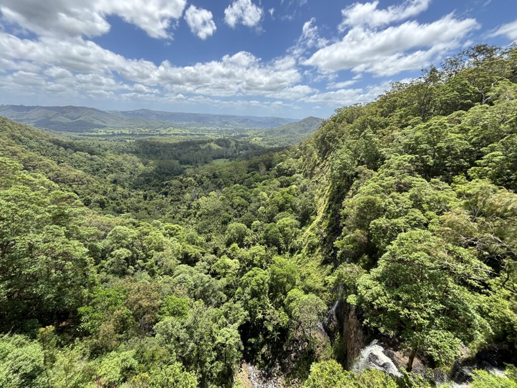 Kondalilla National Park, Sunshine Coast Hinterland