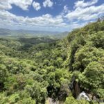 Kondalilla National Park, Sunshine Coast Hinterland